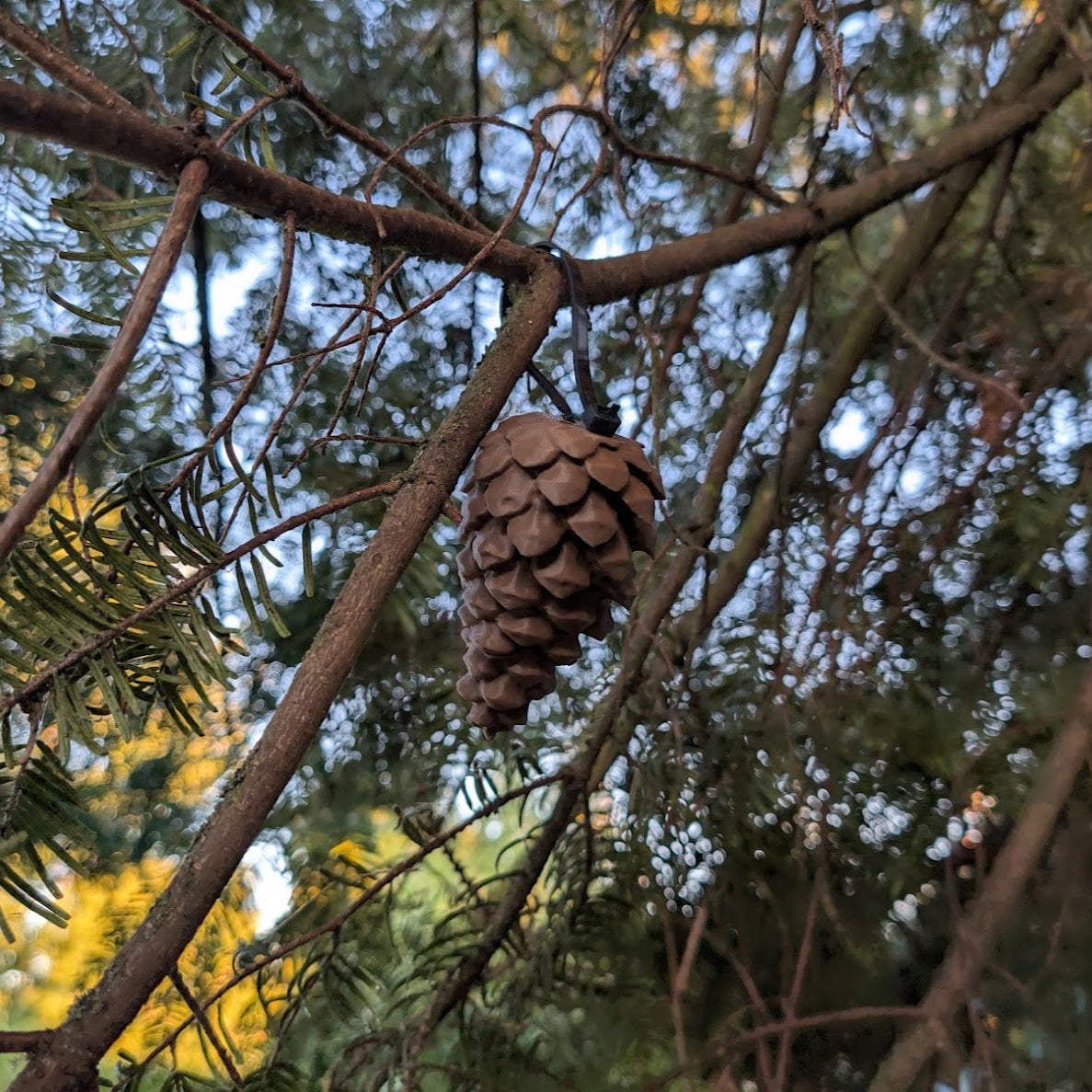 Pinecone Cache